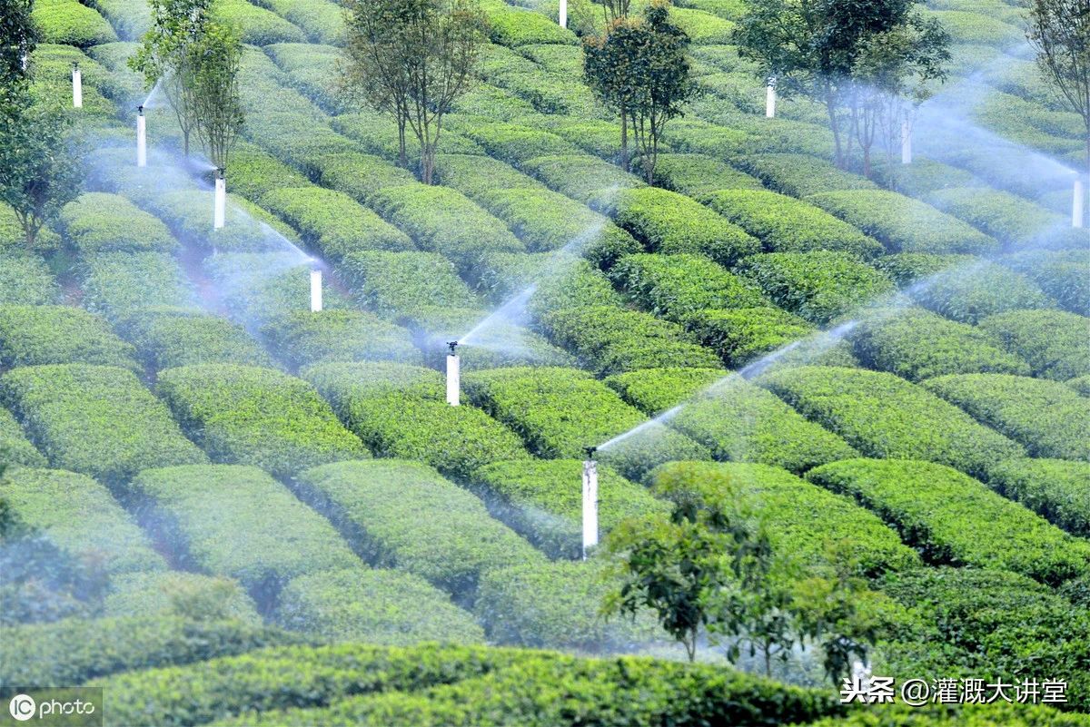 農業(yè)灌溉資訊 | 未來幾年國內農業(yè)灌溉市場估計有多大？